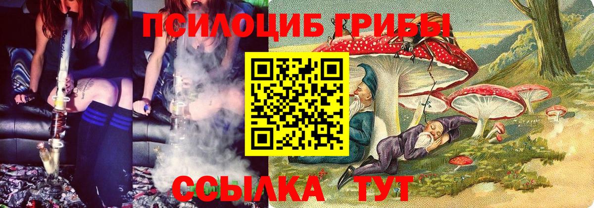 Галлюциногенные грибы GOLDEN TEACHER  Вход с VPN  Томск 