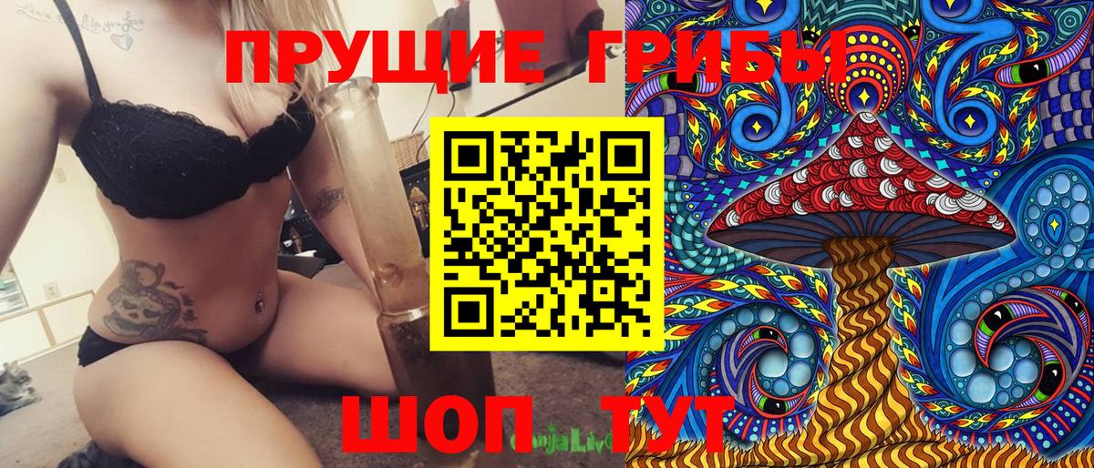 Псилоцибиновые грибы прущие грибы Томск